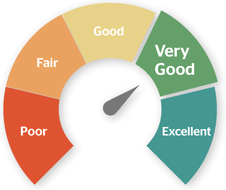 Credit Score