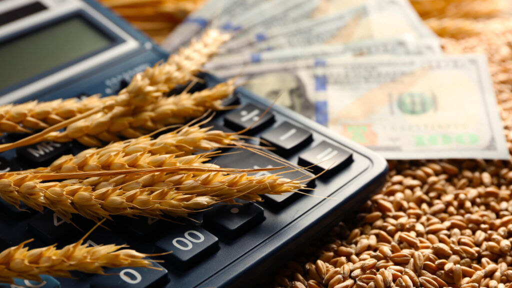 USDA Loan